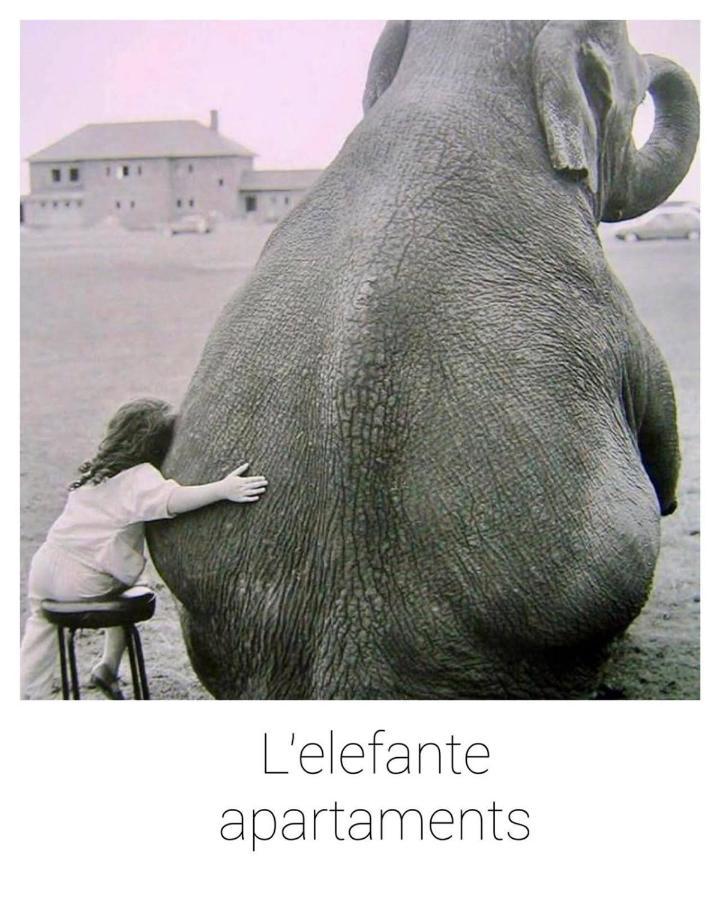 Elefante Appartamenti Pescara Zewnętrze zdjęcie